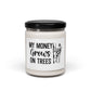 Money Grows on Trees Candle
